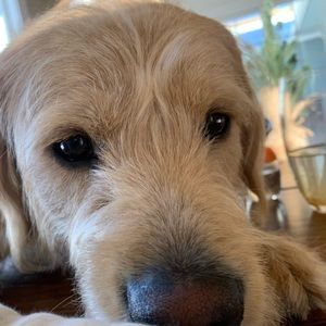 Meet your Posher, Jada